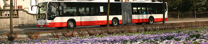 Bus unterwegs in der Oberlausitz
