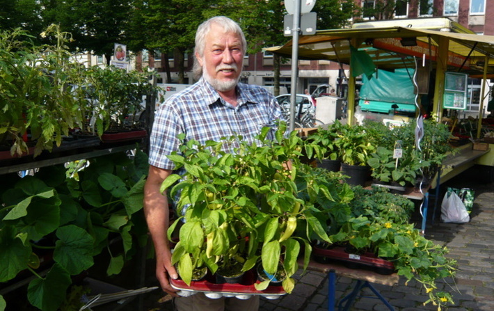 Kräuterstand mit Verkäufer auf dem Wochenmarkt