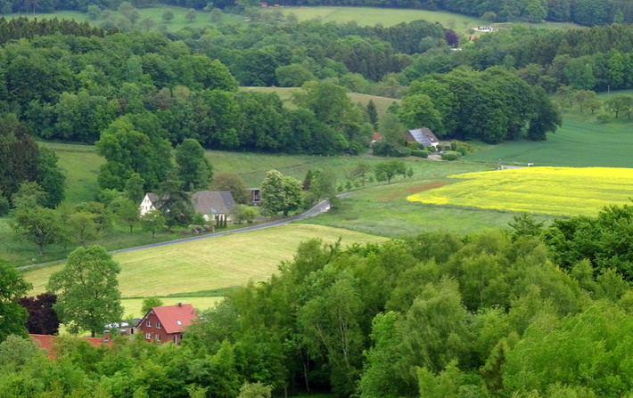 Korn- und Kartoffelfelder im Oldenburger Münsterland
