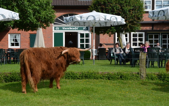 Landcafé Neumann, außen, Besucher auf der Terrasse