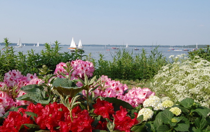 Bunte Blumen vor dem Zwischenahner Meer