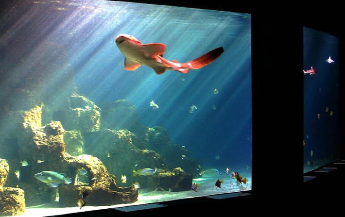 Aquarium in Wilhelmshaven