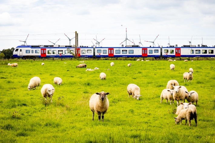 In Bremen und umzu fährt die Regio-S-Bahn. Ob die Schafe auch Osterlämmer bekommen haben? 