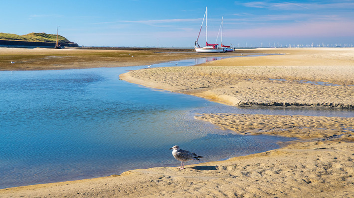 Mit Bahn, Bus und Fähre nach Spiekeroog: Die NordWestBahn macht den Urlaub auf Spiekeroog möglich!