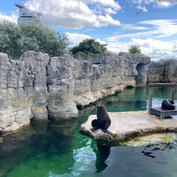 Bremerhaven Zoo am Meer