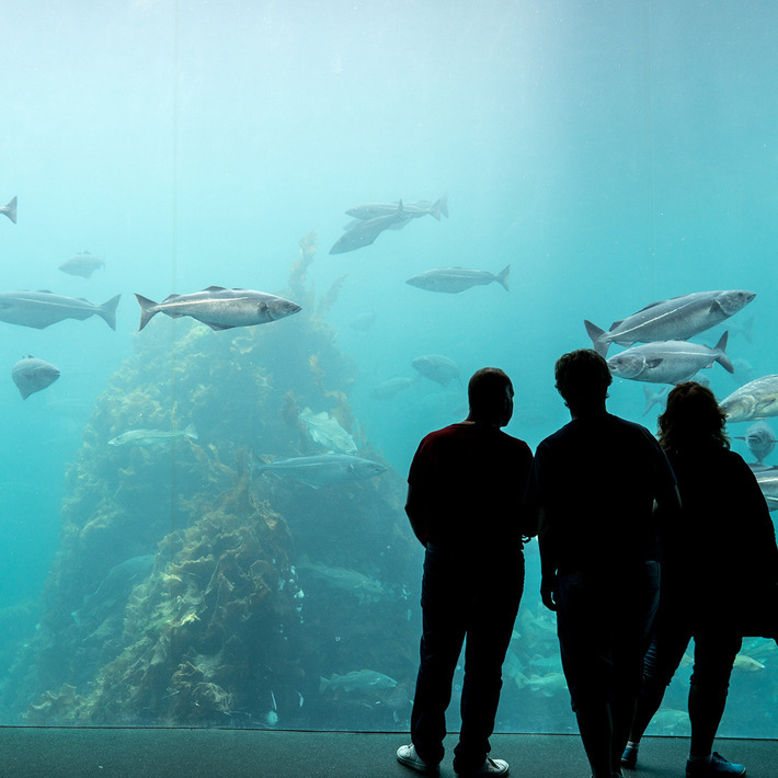 Wilhelmshaven Aquarium