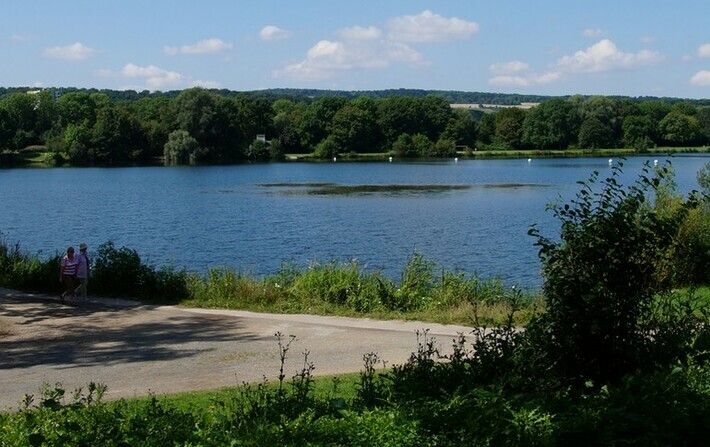 Hohnsensee Hildesheim