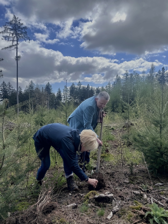 Zwei Personen pflanzen einen Setzling.