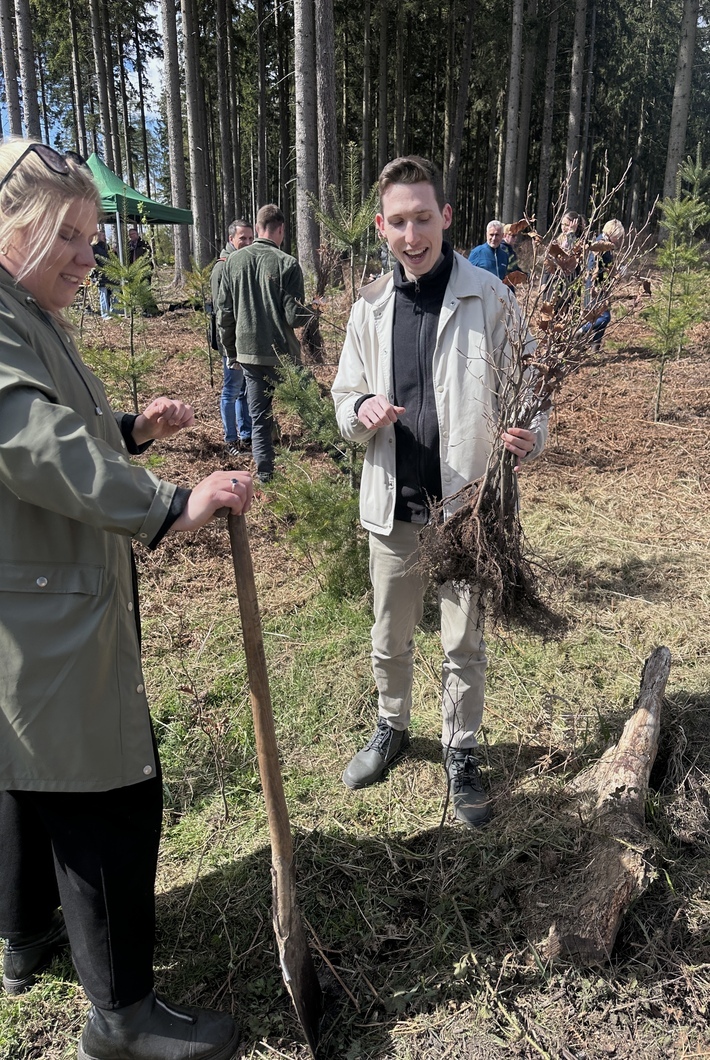 Zwei Personen pflanzen einen Setzling.