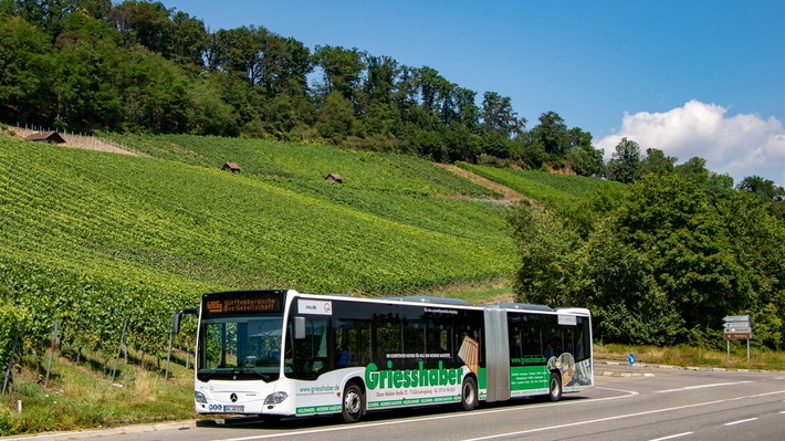 WBG Bus Außenwerbung 2